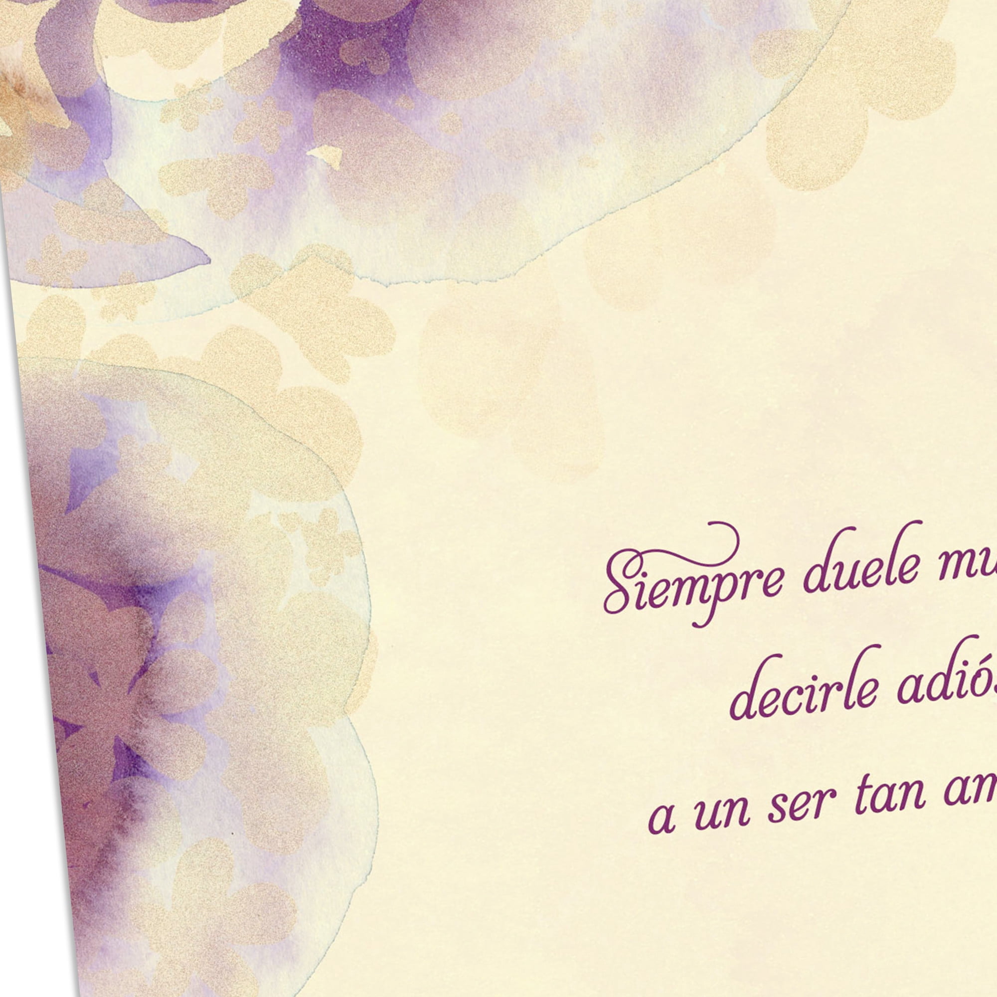 Hallmark VIDA Spanish-Language Sympathy Card (It Always Hurts to Say Goodbye)