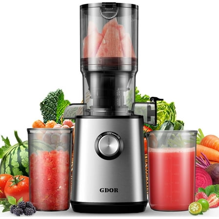 Cold Press Juicer Machines, 4.25'' Large Feed Chute Masticating Slow Juicer Fits Whole Fruits and Vegetables, Low Noise, Silver