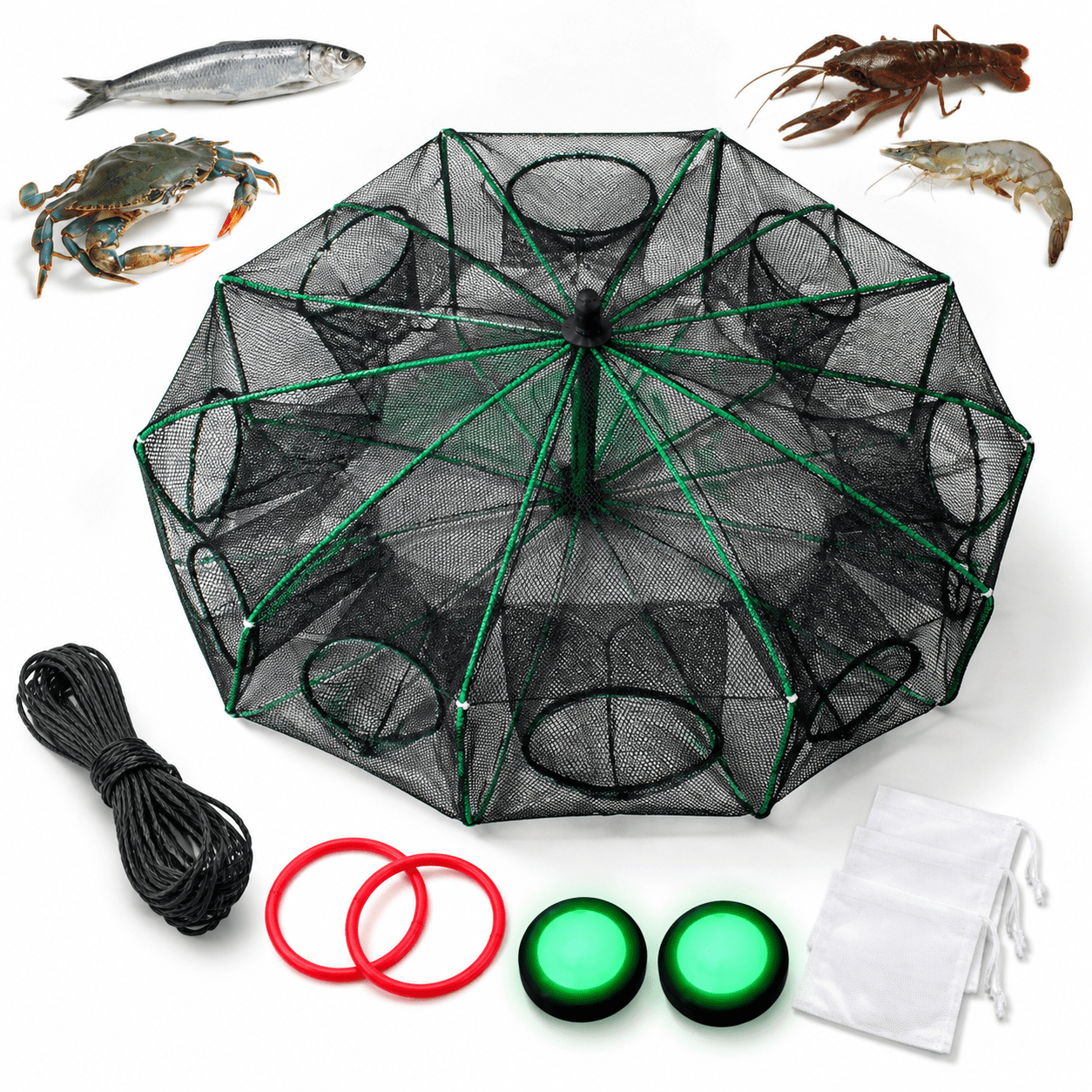 Unbranded Black-1 Pack 10 Holes-28.7 x 10.2 Fishing Bait for Crabs Minnows Lobster Shrimp Crawfish