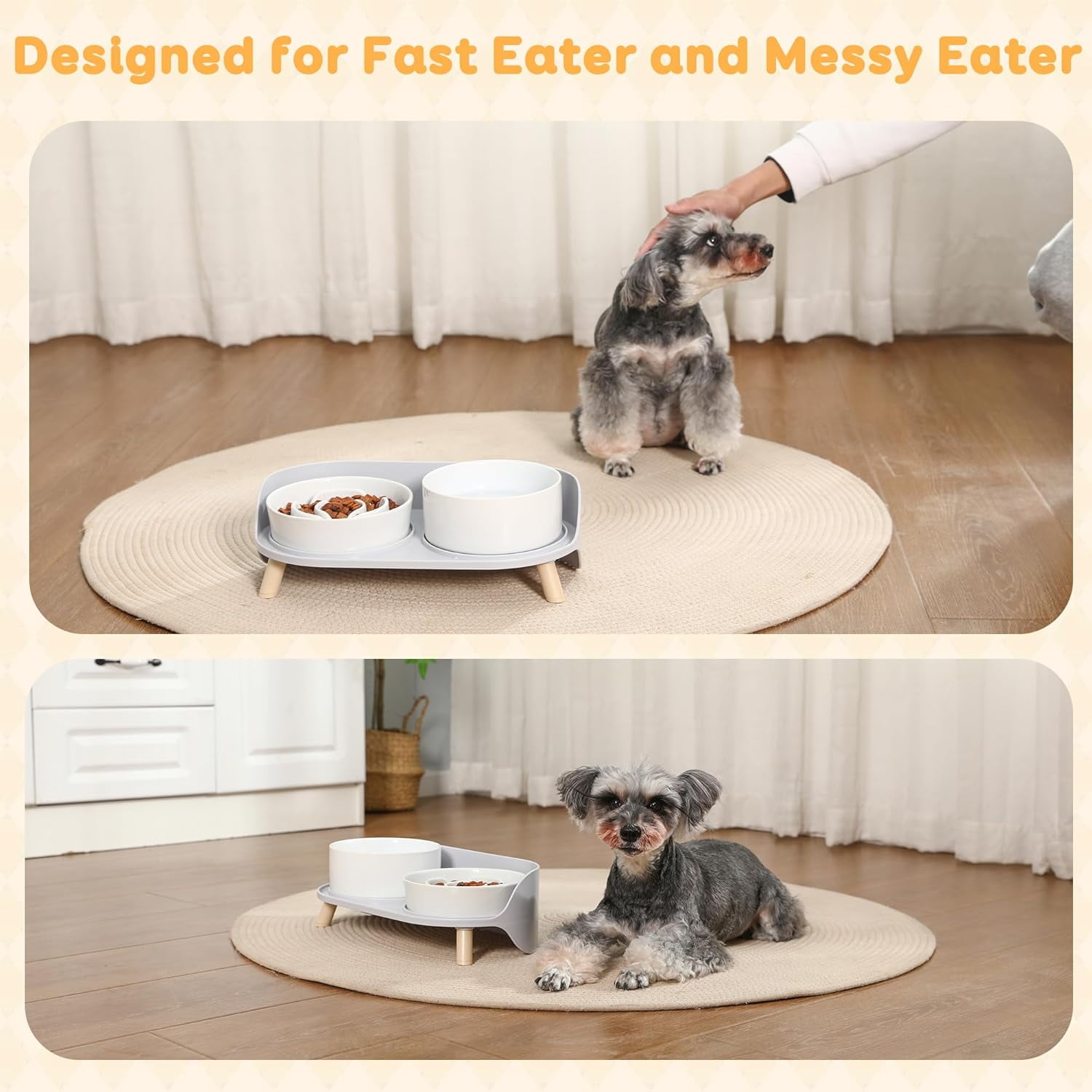 Elevated Ceramic Dog Bowl Set with Stand - Slow Feeder Raised Pet Dishes for Small and Medium Dogs