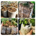 thumbnail image 5 of 100PCs B iodegradable Non Woven Fabric Nursery Plant Seedling Bags Grow Pla, 5 of 8