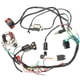 thumbnail image 1 of 1 Set 50 70 90 110CC CDI Wire Harness Assembly Wiring Kit ATV Electric Start Quad CDI Wire Harness Assembly Wiring Ignition Switch Set, 1 of 3