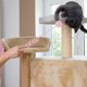 thumbnail image 4 of Teaser de gatos colgantes Pega una pelota, 4 of 5