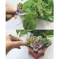 thumbnail image 4 of AMERTEER 8-Piece Bonsai Tool Set Succulent Garden Hand Tool Kit with Trimmer Mini Rake Mini Spade Tweezers Bud and Leaf Trimmer, 4 of 13