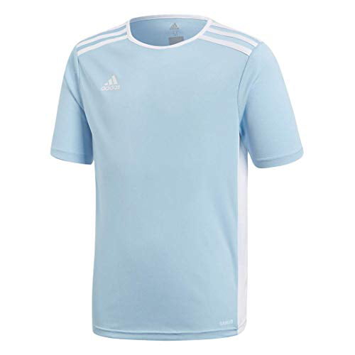 adidas Boys' Entrada 18 Jersey, Clear Blue/White, X-Large