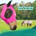 thumbnail image 5 of Vikakiooze 2022 Clearance,Anti-Fly Mesh Equine Mask Comfort Fit Fly Mask Protects Eyes and Ears, 5 of 7