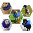 thumbnail image 2 of Collier Gonflable de Protection pour Chiens et Chats - Récupération Douce pour Animaux de Compagnie, Collier Protecteur (Couleur, Bleu44, Taille, XS), 2 of 5