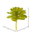 thumbnail image 3 of Vickerman FO180901 6 Pouces Vert &amp; Brun Tacheté Echeveria Pot, 3 of 3