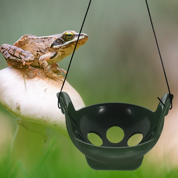 WHAMVOX HOMEMAXS 1 Set Reptile Frog Terrarium Multifunctional Habitat