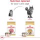 thumbnail image 3 of Royal Canin Alimento Breed Health para Gato Maine Coon 6.36kg, 3 of 5