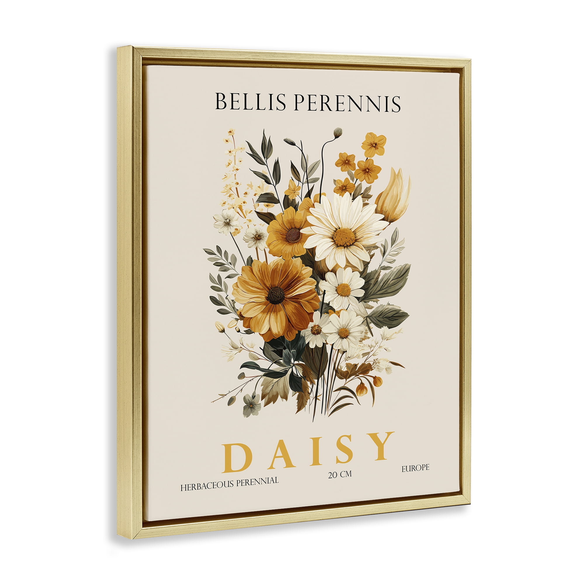 Stupell Industries Nature Daisy Bundle Gold Framed Floater Canvas Wall Art, design by Christopher Giampietro