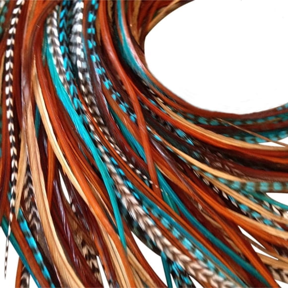 Kit d'Extensions de Plumes pour Cheveux, Plumes de Coq Longues pour Cheveux avec Perles Microlink DIY et Outil en Boucle, Naturels Turquoise Bleu Western et Brun