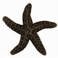 thumbnail image 2 of Acorn Manufacturing DPKGP Artisan Collection Natural Starfish Knob, Museum Gold, 2 of 3