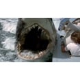 thumbnail image 3 of JAWS 3-MOVIE COLLECTION - DVD, 3 of 5