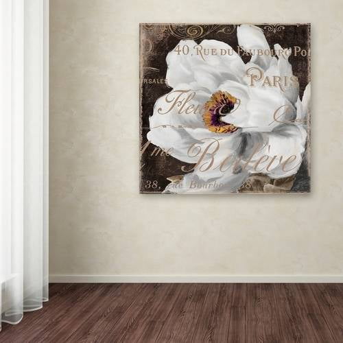 Trademark Fine Art "Fleurs Blanc III" Canvas Art by Color Bakery
