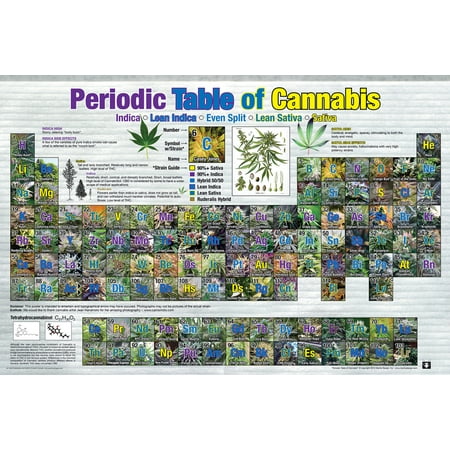 Periodic Table Of Cannabis Marijuana Pot Reference Chart Poster 36x24