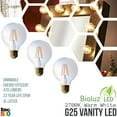 thumbnail image 2 of Bioluz LED G25 Vanity Filament Globe LED, 2 of 7