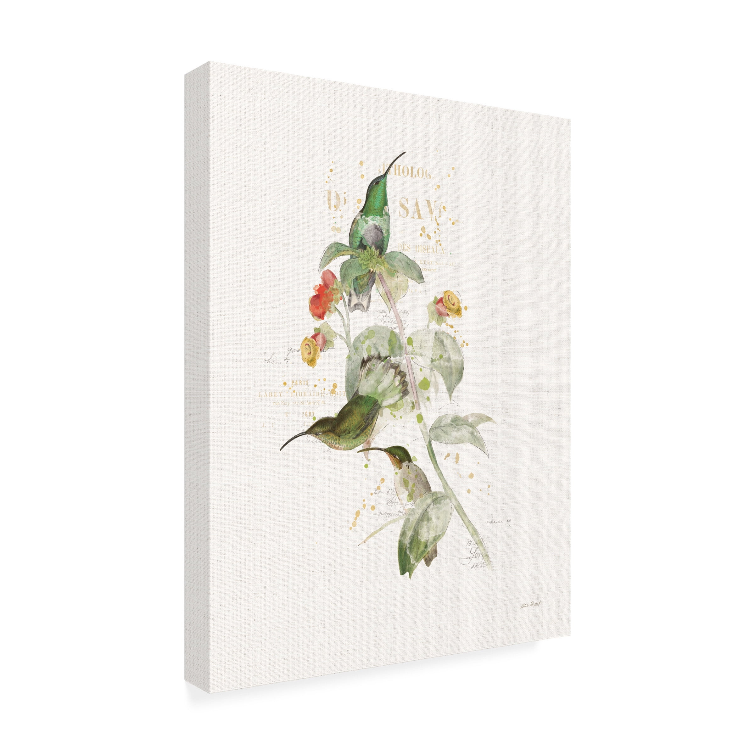 Katie Pertiet 'Colorful Hummingbirds III' Canvas Art