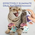 thumbnail image 6 of Teeth Cleaning Oral Care Spray for Dogs and Cats,Pet Clean Teeth Spray,Dogs & Cats Bad Breath Remedy,for Targets Tartar & Plaque, Eliminate Bad Breath, Without Brushing 3Pcs, 6 of 6