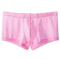 thumbnail image 2 of WIZUTIZ Mens Lace Boxer Briefs Underwear Bulge Pouch Lingerie Sheer Bikini See Through Shorts Underpanties, 2 of 3