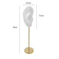 thumbnail image 2 of kurtrusly Earring Display Stand Human Ear Model Organizer Holder Showcase Stud Jewelry Right Translucent Height: 18cm 1Set, 2 of 6