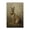 Brown Bunny Portrait, variant on Stupell Industries Rustic Lodge Brown Horse Visage Black Floating Frame Canvas Art, 17 x 25, by Petals Prints Design