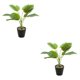 thumbnail image 2 of Planta en maceta Ounissouiy Hojas artificiales realistas JH5472 2Conjunto, 2 of 6