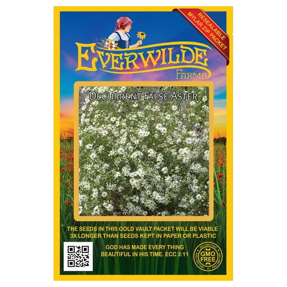 Everwilde Farms - 2000 Decurrent False Aster Native Wildflower Seeds - Gold Vault Seed Packet