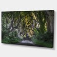 thumbnail image 2 of The Dark Hedges Ireland Landscape - Photography Canvas Art Print, 2 of 3