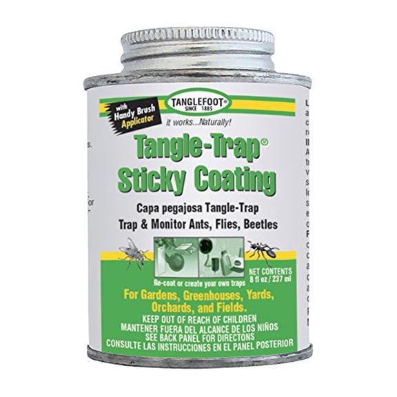 Tanglefoot Tangle-Trap Sticky Coating (Brushable), 8 oz.