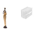 thumbnail image 1 of Escultura de una mujer africana, moderno soporte para pañuelos de acrílico, ideal para colocar sobre una mesa o en la pared. Caja de almacenamiento de, 1 of 8