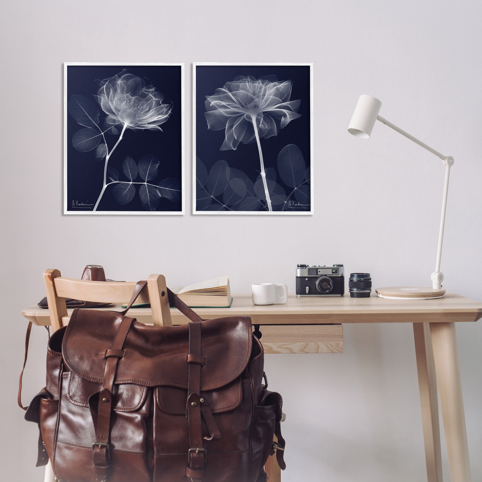 Stupell Industries X-Ray Blossom on Black Botanical & Floral Photography White Framed Art Print Wall Art, 16 x 20, Set of 2