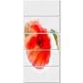 thumbnail image 2 of Large Red Poppy on White Back - Flower Artwork on Canvas, 2 of 3