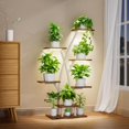 thumbnail image 1 of Soporte para plantas EVAWOO de 7 niveles con luces de cultivo de 106 cm, blanco, 1 of 7