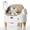 Coffee, variant on Smart Self-Cleaning Cat Litter Box – Automatic Open-Top Design, Large Waste Bin, Odor Control, App & Health Tracking, 360° Safety Sensors, for Multiple & Large Cats, Includes Trash Bags
