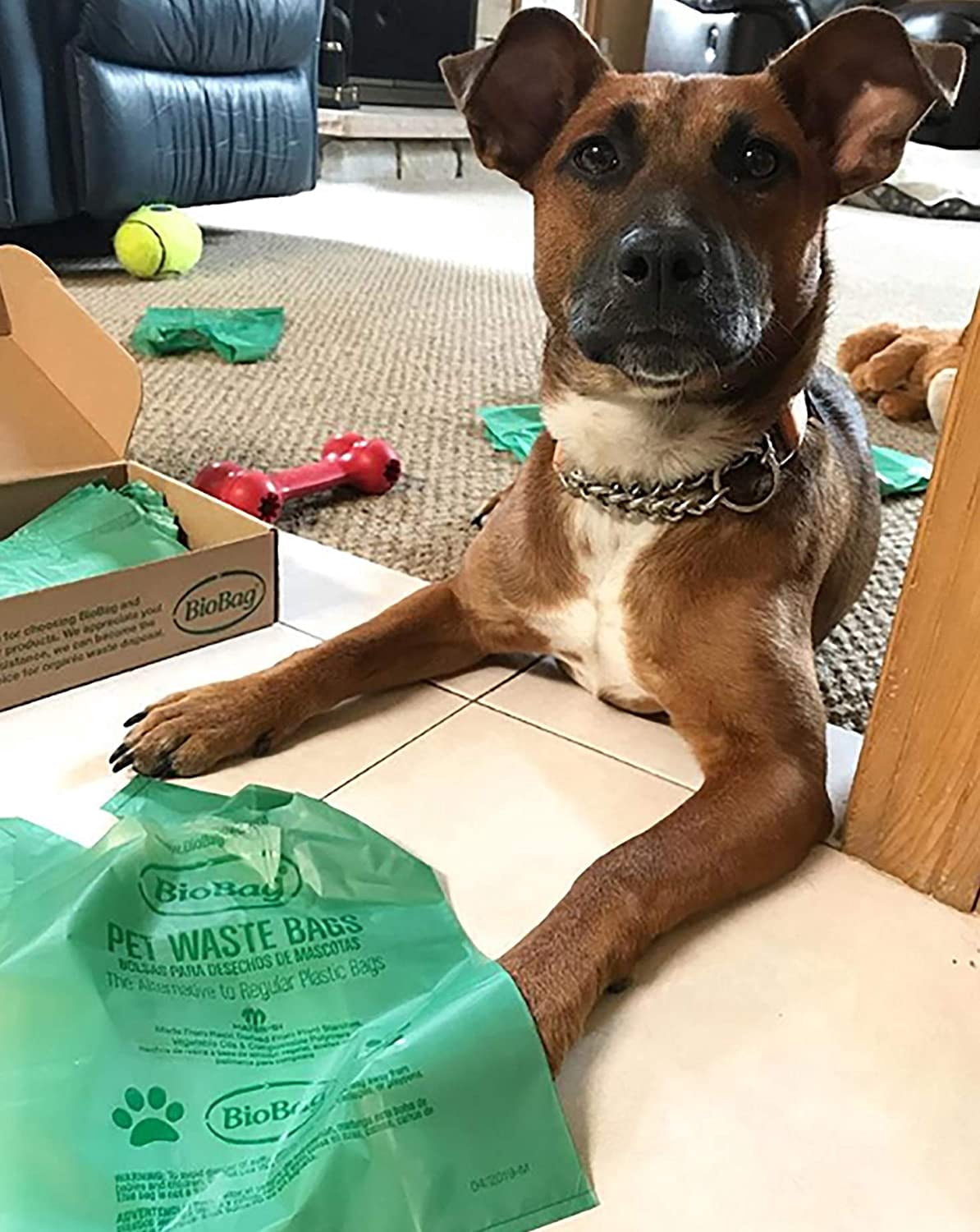 Premium Pet Waste Bags with Handles, Standard Size, 150 Count, Great For All Dog Breeds