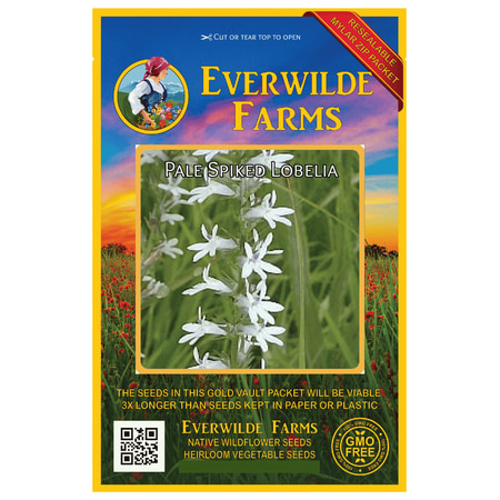 Everwilde Farms - 400 Pale Spiked Lobelia Native Wildflower Seeds - Gold Vault Jumbo Bulk Seed