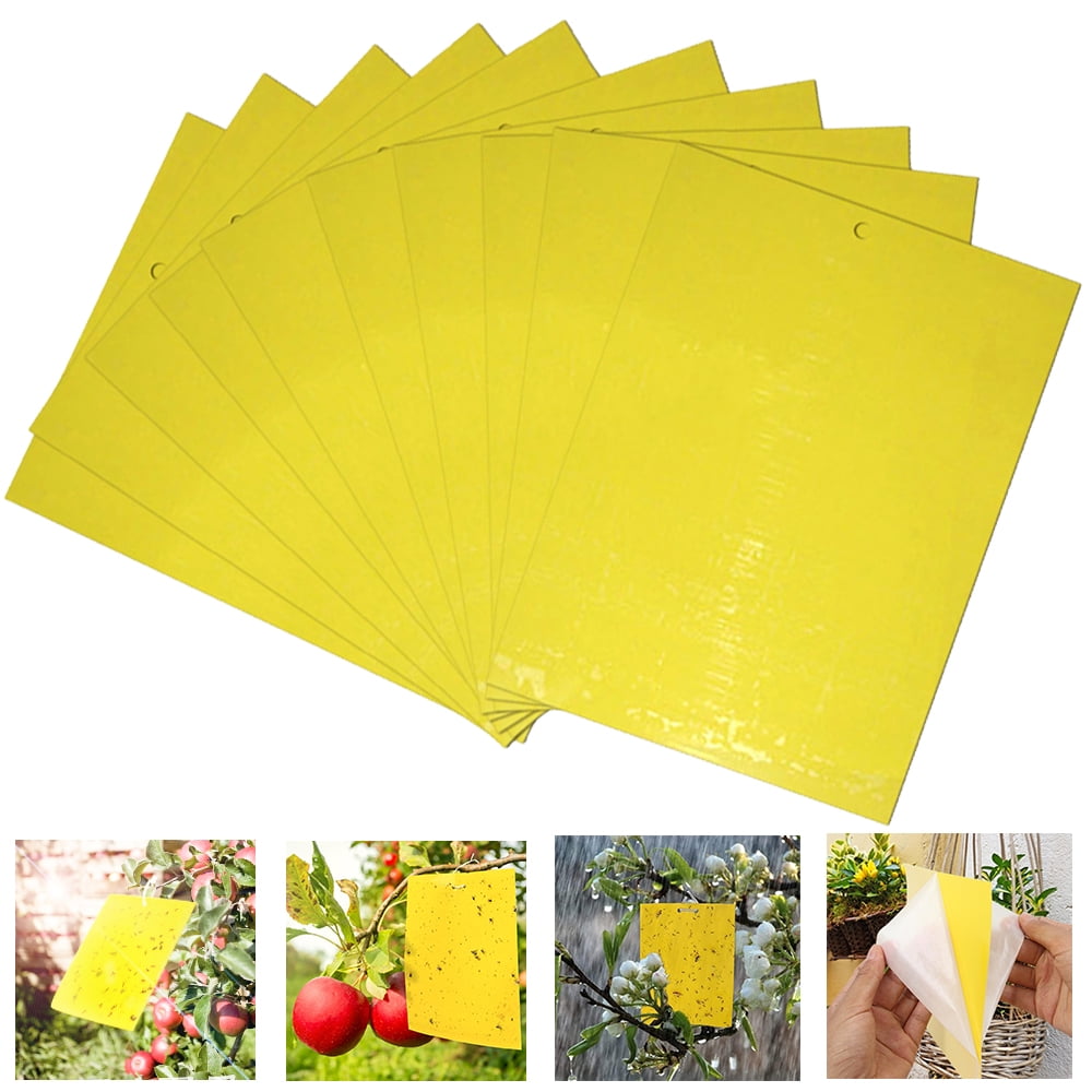 MLFU Sticky Traps for Plants 30Sheet DoubleSided Flying Insect