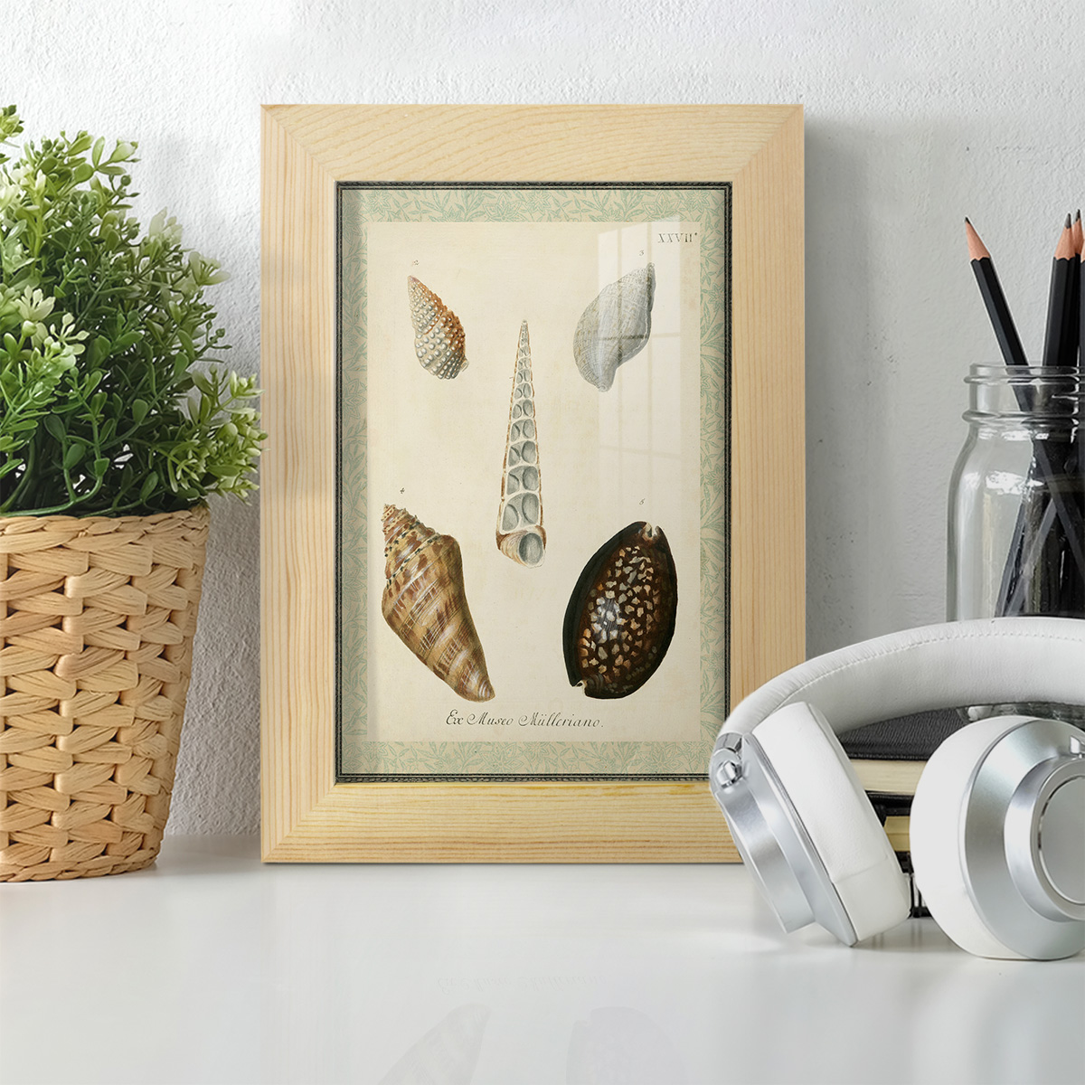 Bookplate Shells IX - Framed Print w/glass - Natural Wood