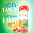 thumbnail image 3 of GT's Synergy Trilogy Raw Kombucha 16 fl oz, 3 of 11