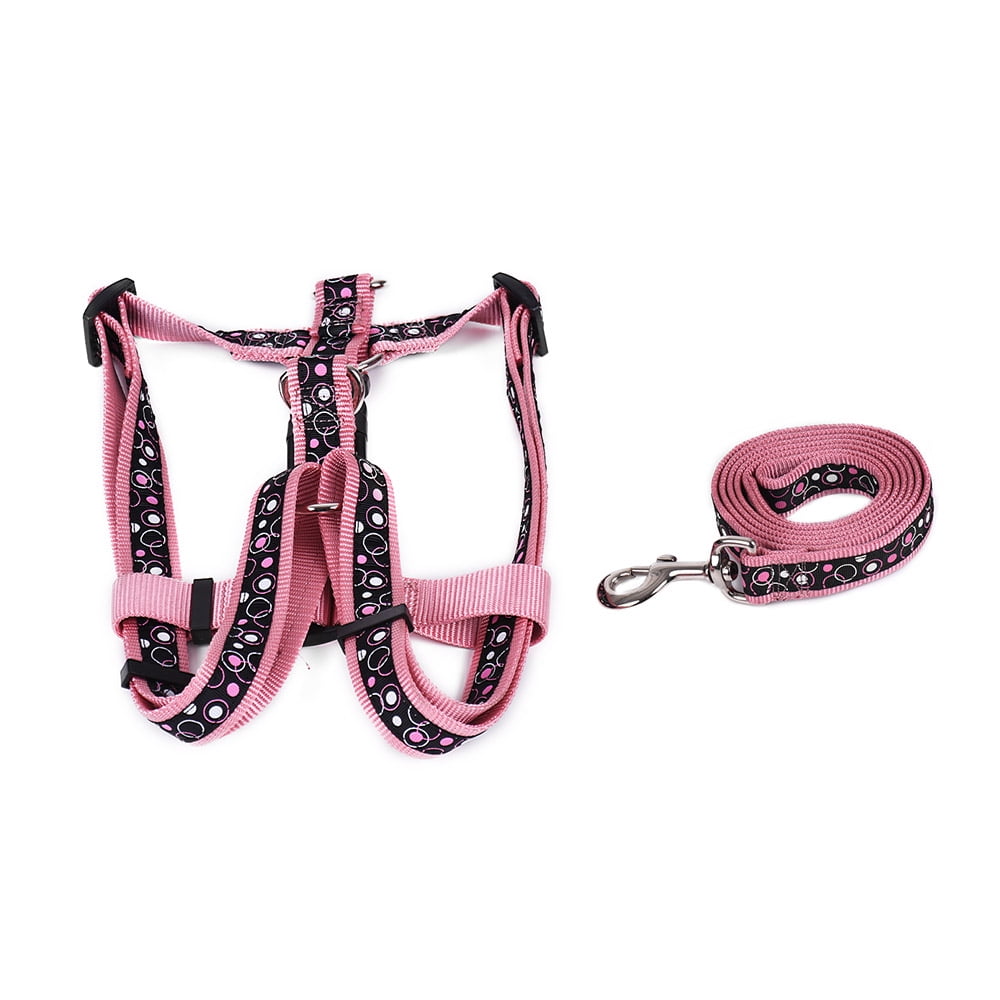pink dog harness and leash