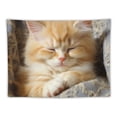 thumbnail image 5 of GOSMITH Sleeping Kitten Wall Tapestry Wall Hanging Tapestry Daily Decorative Tapestry for Living Room Bedroom Dorm, Wall Art, Large 40x30 Inch, 5 of 7
