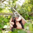 thumbnail image 4 of Spear & Jackson Traditional Bypass and Anvil Secateurs Set, 4 of 6