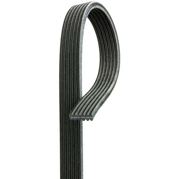 ACDelco 6DK519 Serpentine Belt Fits select: 2002-2004 VOLKSWAGEN JETTA, 2004 VOLKSWAGEN R32