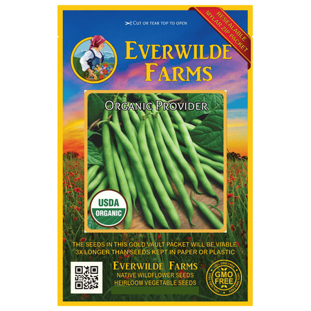 Everwilde Farms - 80 Organic Provider Green Bush Bean Seeds - Gold Vault Jumbo Bulk Seed