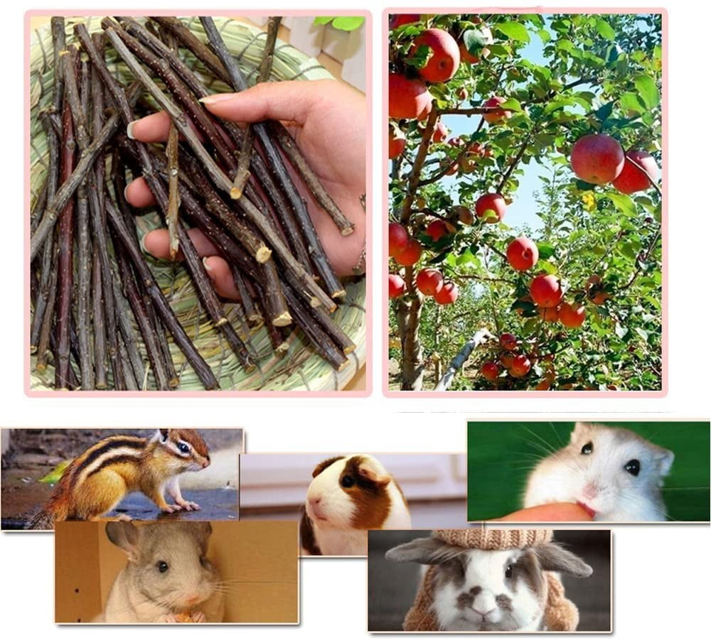 500g(18oz) Apple Sticks Pet Chew Toys for Rabbits Chinchilla Guinea Pigs