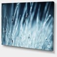thumbnail image 2 of Herbe Humide Noir et Blanc - Impression sur Toile Florale, 2 of 3