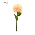 thumbnail image 3 of Toystoory 10 piezas de decoración artificial no tóxica e hipoalergénica para gatos y perros simulación de longitud sin olor Decoración champán, 3 of 6