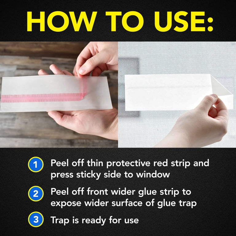 Raid Window Fly Trap, Transparent, 96-Pack photo 8