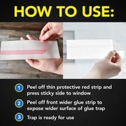 Raid Window Fly Trap Discreet Adhesives - 8 Count for Indoor Use
